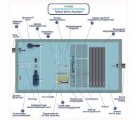 Гринлос Норд 50 - фото 4